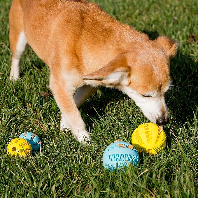 Youngever 2 Pack Dog Ball Toys for Pet Tooth Cleaning, Chewing, Fetching, Treat Ball Food Dispensing Toys (Large 2.75 Inch)