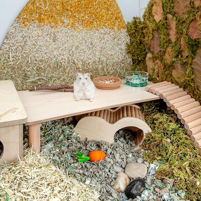 Niteangel Hamster Play Wooden Platform for Dwarf Syrian Hamsters Gerbils Mice Degus or Other Small Pets (Rectange - 7'' Height, Burlywood)