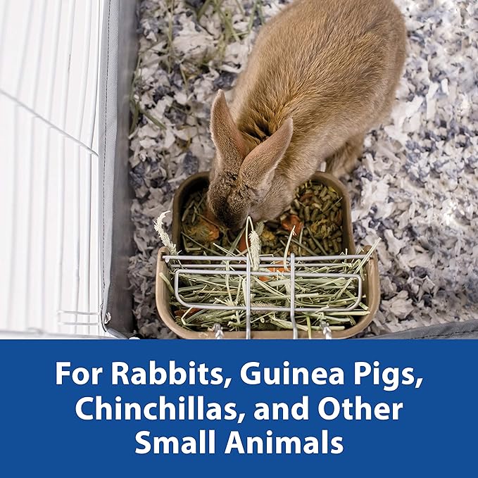 Kaytee Hay & Food Bin Feeder with Quick Locks for Pet Rabbits, Chinchillas, Guinea Pigs and Other Small Animals (Pack of 2)