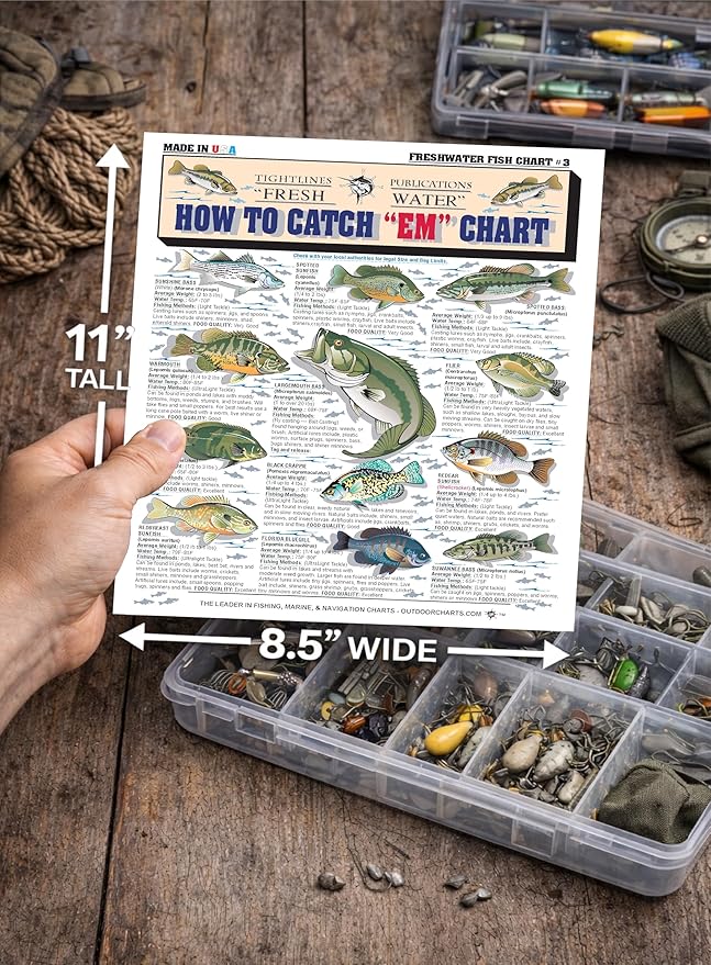 Freshwater Fish Identification Chart #3 - Waterproof Quick Reference Fishing Guide - Species ID + Fishing Methods - Double-Sided & Easy to Read - Great Gift for Beginners