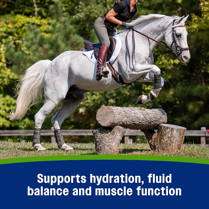 Farnam Apple Elite Electrolyte Supplement for Horses, Replaces Vital Minerals, for Hydration, No Added Sugar, Horse Supplements with Sodium, Potassium, Calcium & Magnesium, 7.5 lb, 40 Day Supply