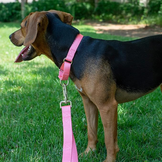 Country Brook Petz - Martingale Dog Collar - Heavy-Duty Training Collar with No Buckle - Service Dog Collar for All Pups - 20 Vibrant Colors (Pink, 1 Inch, Large)