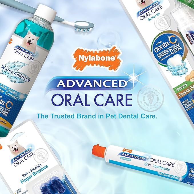 Nylabone Advanced Oral Care Pet Dental Foam Tartar Remover & Breath Freshener for Dogs, Dog Teeth-Cleaning, 4 oz.