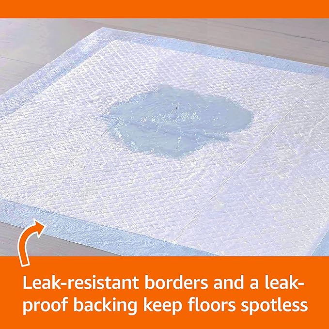 Amazon Basics Disposable Dog Training Pads with 5-Layer Leak-Proof Design, Quick-Dry Surface, Regular, 22 x 22 Inches, 30-Pack