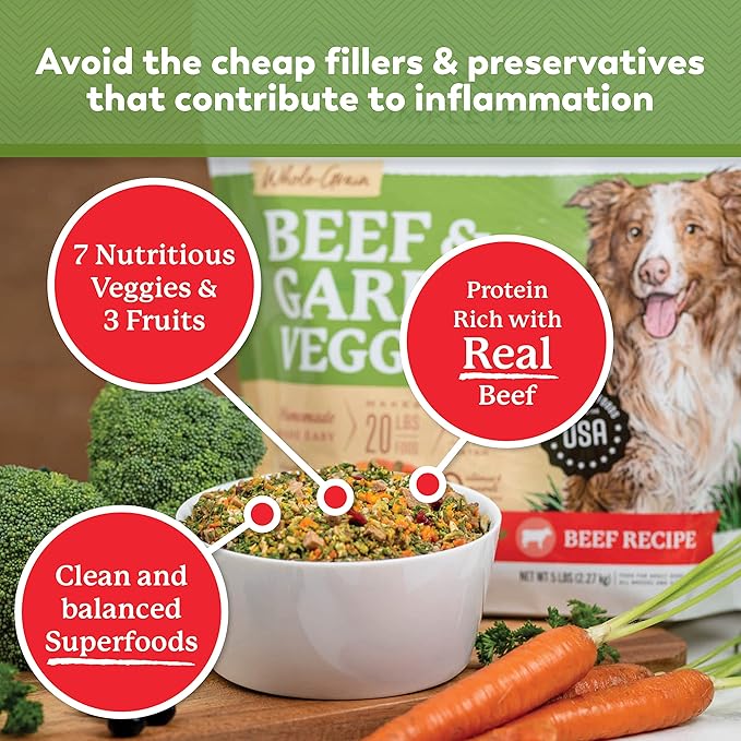 Dr. Harvey's Beef & Garden Veggies Dog Food, Whole-Grain Dehydrated Dog Food with Freeze-Dried Beef (5 Pounds)