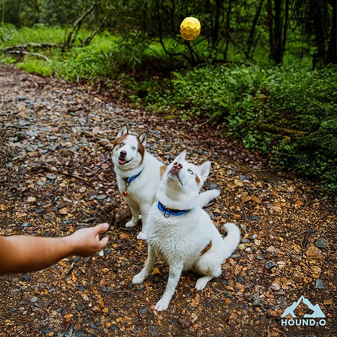 Dog Toys | Squeaky Fetch Ball for Dogs | Bright Yellow Floating Outdoor Dog Ball with Squeaker