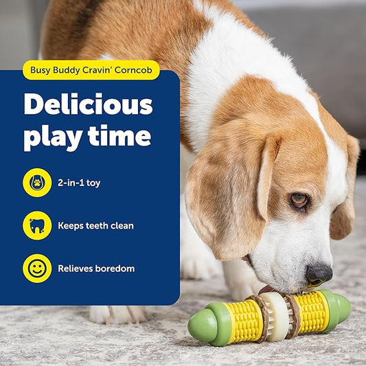 PetSafe Busy Buddy Cravin Corncob Dog Toys Treat Ring Holding Chew Toy BPA Free Rubber Butter Scented Interactive Pet Puzzle for Boredom or Separation Anxiety Small to Large Dogs