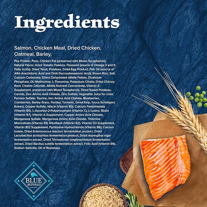 Blue Buffalo Wilderness High-Protein Natural Dry Food for Puppies, Salmon Recipe, 24-lb. Bag