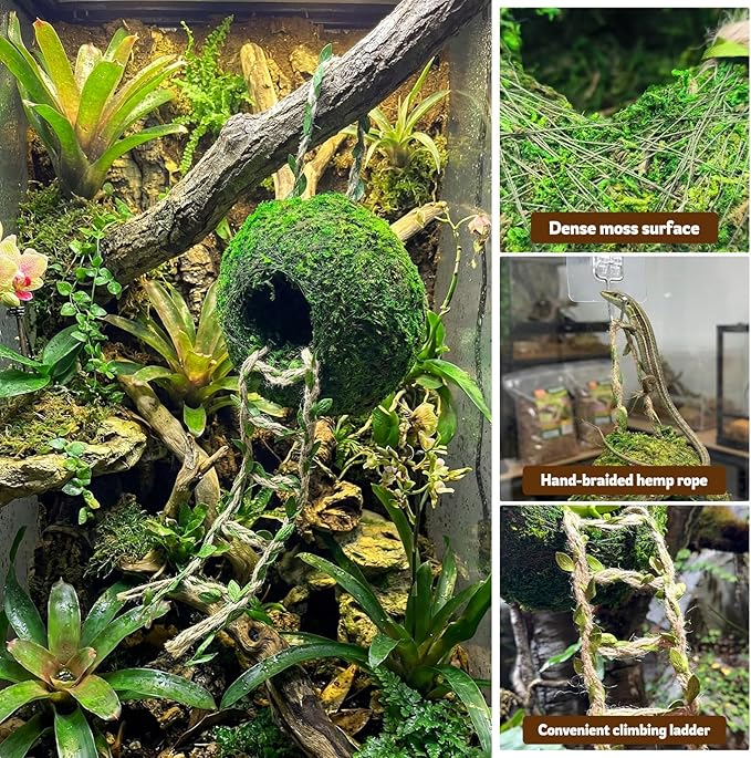 Moss Cave Hideout with Hanging Rope & Hemp Climbing Ladder – Natural Reptile Tank Decor Accessories for Crested Geckos, Chameleons, Tree Frogs, Leopard Geckos & Snakes. Terrarium & Vivarium Decor (6")