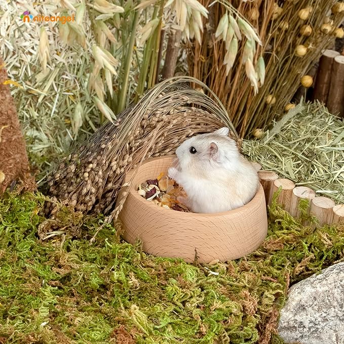 Niteangel Wooden Hamster Feeding Bowl - Small Animal Food Dish for Dwarf Syrian Hamsters Gerbils Mice Degus or Other Similar-Sized Small Pets (Hammy Pattern, for Dwarf)