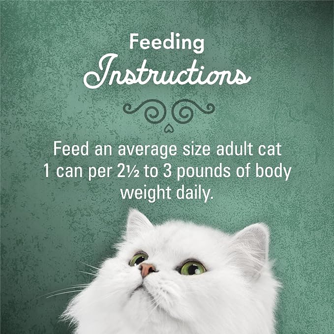 Fancy Feast Purina Medleys in Gravy Beef Ragu Recipe with Tomatoes and Pasta in a Savory Sauce - 3 oz. Cans,(Pack of 48)