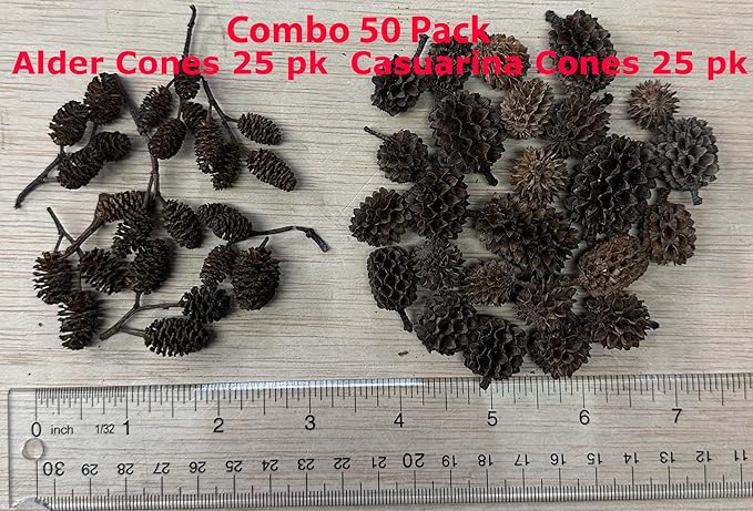 Alder & Casuarina Cones Betta Shrimp Tank Promotes Natural Habitat, Breeding, Tannin Producing Improves Immunity, Easy to Use, by Awesome Aquatic (50-25 ea Alder/Casuarina)