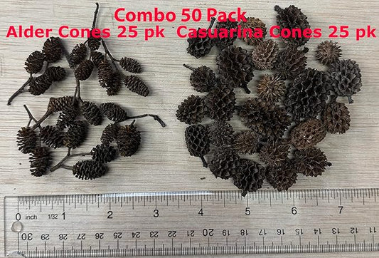 Alder & Casuarina Cones Betta Shrimp Tank Promotes Natural Habitat, Breeding, Tannin Producing Improves Immunity, Easy to Use, by Awesome Aquatic (50-25 ea Alder/Casuarina)