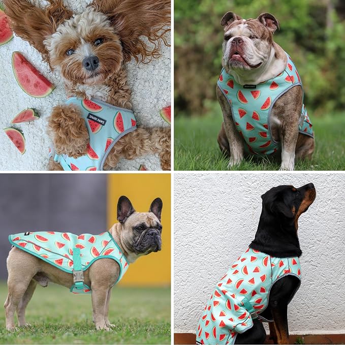 Spark Paws Dog Cooling Vest - SPF 50 UV Sun Protection - Summer Heat Relief Gear for Dogs, Lightweight, Evaporative Cooling - Dog Anxiety Relief Vest During Hot Days - Watermelon - Size 4XL