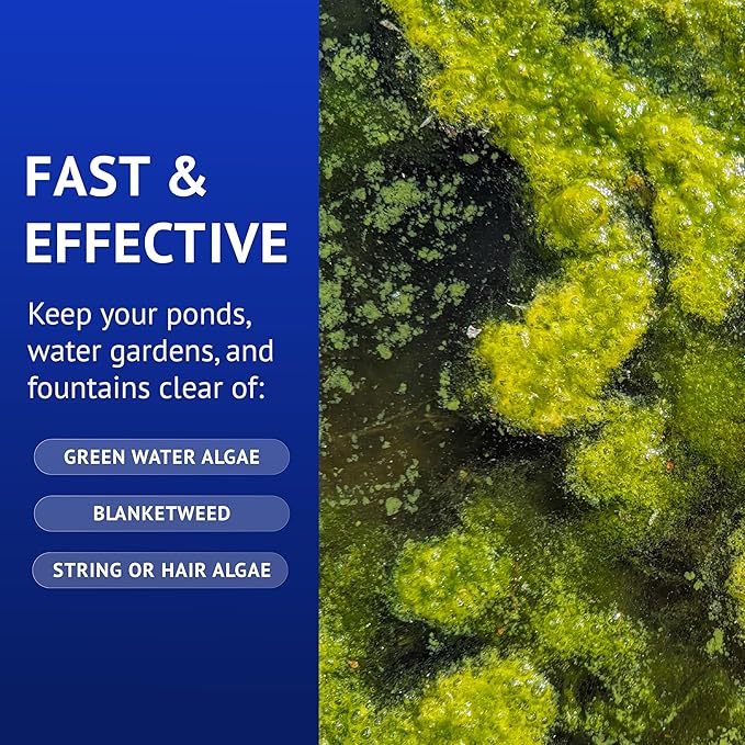 API POND ALGAEFIX Algae Control 32-Ounce Bottle, FISHAQUARI (169G)