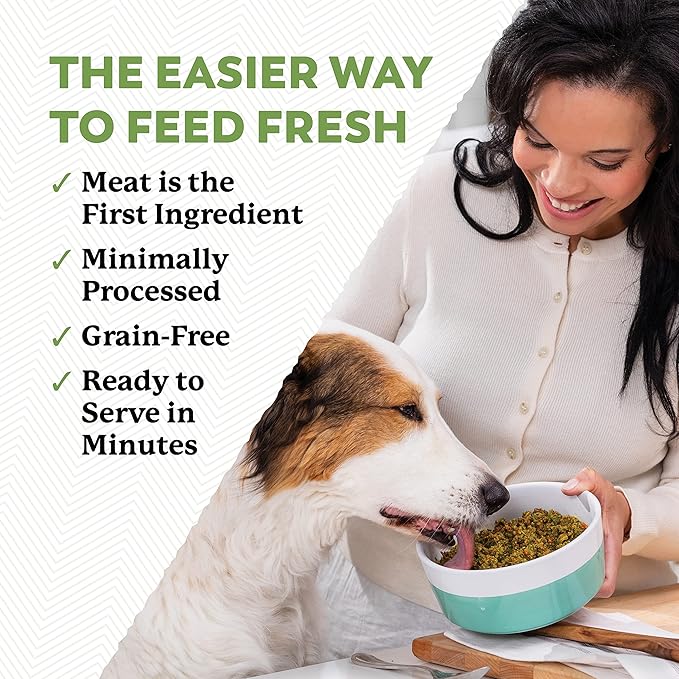 Dr. Harvey's Beef & Garden Veggies Dog Food, Grain-Free Dehydrated Food for Dogs with Freeze-Dried Beef (5 Pounds)