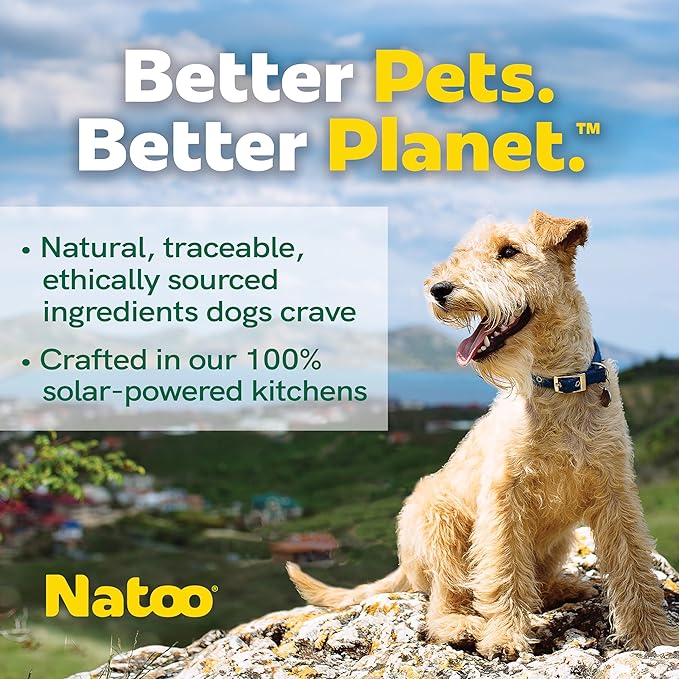 NATOO Dog Food Topper Variety Pack for Picky Eaters, Protein Boost Mix-Ins for Dry Food, Wet Meal Toppers for Dogs and Puppies, Limited Ingredient, 3oz Pouches, 12 Pack (4 Flavors)