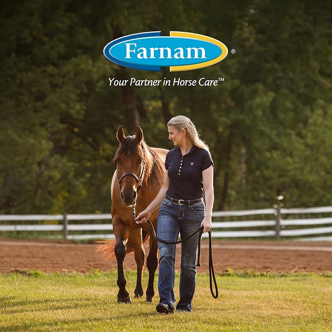 Farnam Roll-On Fly Repellent for Horses, Ponies and Dogs 2 Ounces