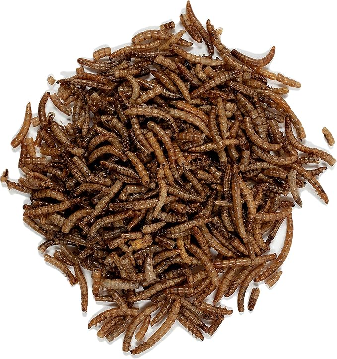 Wagner's 58005 Mealworms Wild Bird Food, 18-Ounce Bag