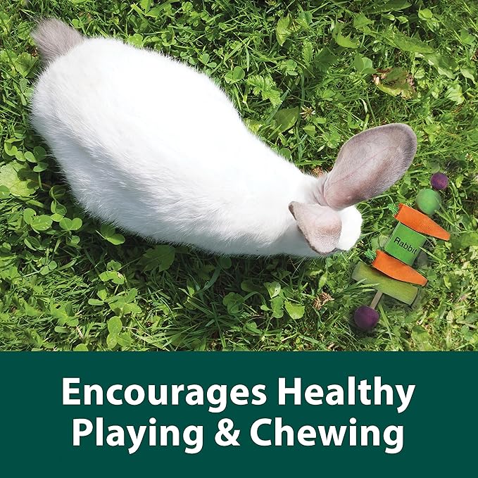 Kaytee Perfect Chews Hanging Wood Chew Toy for Pet Rabbits and Other Small Animals