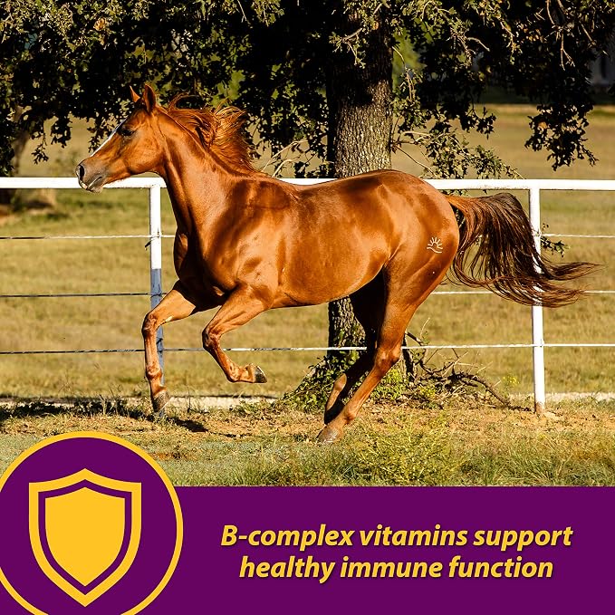 Farnam Horse Health Red Cell Pellets, Vitamin-Iron Mineral Supplement for Horses, Iron Horse Supplement, 4 Lbs., 64-Day Supply, Pellets