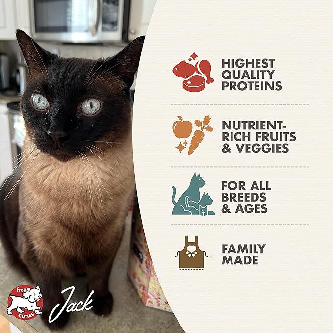Fromm Four-Star Nutritionals Surf & Turf Cat Food - Premium Dry Cat Food - Salmon Recipe - 10 lb