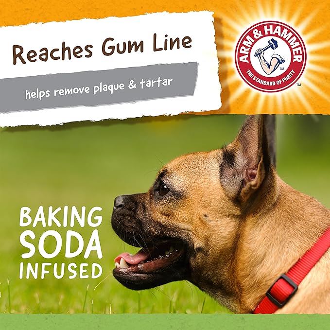 Arm & Hammer Nubbies Denta-Saurus T-Rex Dog Dental Chew Toy, Mint Flavor, for Moderate Chewers, Nylon, Reduces Plaque and Tartar Without Brushing, Baking Soda Infused