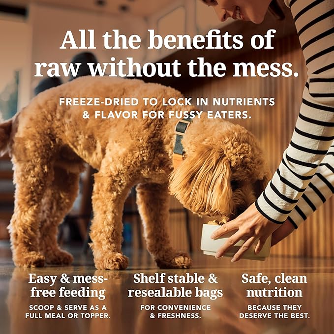 K9 Natural Lamb Freeze Dried Dog Food, High-Meat Natural Complete Meal or Meal Toppers for Dogs, Grass-Fed Lamb from New Zealand, Grain-Free, GMO-Free, Complete & Balanced Nutrition, 4lb