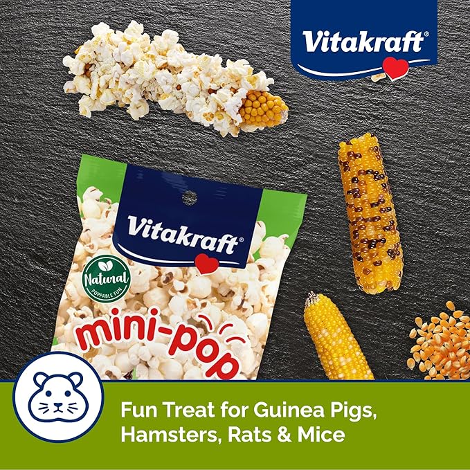 Vitakraft Mini-Pop Treat for Small Animals 6 oz – All-Natural Single-Ingredient Snack - Serve Popped or Unpopped – Enrichment, Chewing, Fun, Natural Teeth Wear – Rabbit, Hamster, Gerbil, Guinea Pig