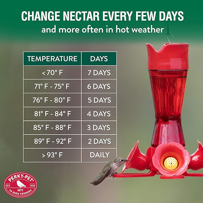 Perky-Pet Hummingbird Nectar Concentrate for Hummingbird Feeder - 32 oz - Makes 96 FL OZ of Food Nectar - 238CL