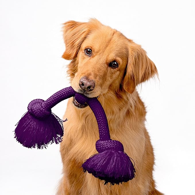 Playology Dog Toys | Dri-Tech Rope Tug of War Dog Toy for Tough Chewers | Bacon Scented Jumbo Tug Rope Toys for Large Dogs