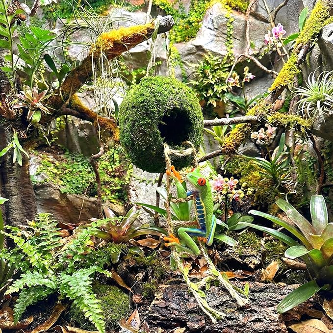 Moss Cave Hideout with Hanging Rope & Hemp Climbing Ladder – Natural Reptile Tank Decor Accessories for Crested Geckos, Chameleons, Tree Frogs, Leopard Geckos & Snakes. Terrarium & Vivarium Decor (4")
