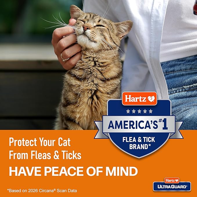 Hartz UltraGuard Purple Flea & Tick Collar for Cats and Kittens - 7 Month Protection