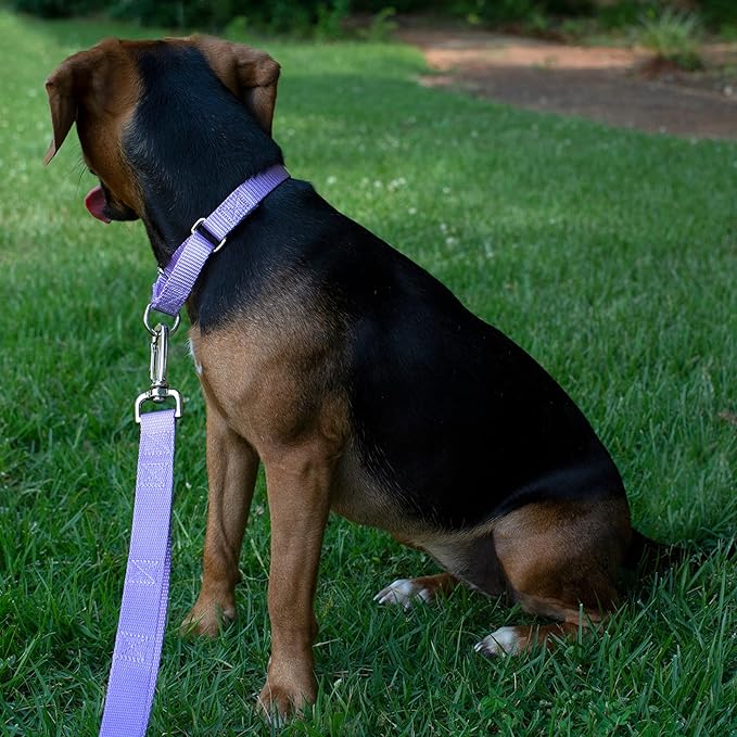 Country Brook Petz - Martingale Dog Collar - Heavy-Duty Training Collar with No Buckle - Service Dog Collar for All Pups - 20 Vibrant Colors (Lavender, 1 Inch, Extra Large)