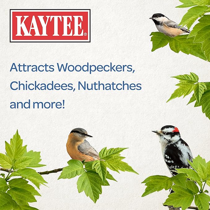 Kaytee Woodpecker Seed Cake, Wild Bird Food, 1.85 Pounds (Pack of 2)