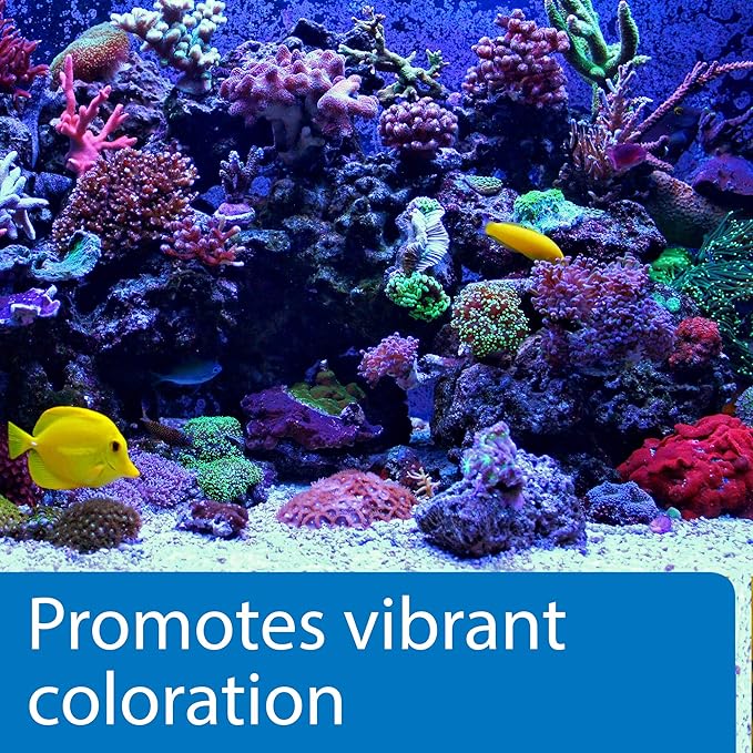 API MARINE CALCIUM Reef Aquarium Calcium Solution 16-Ounce Bottle