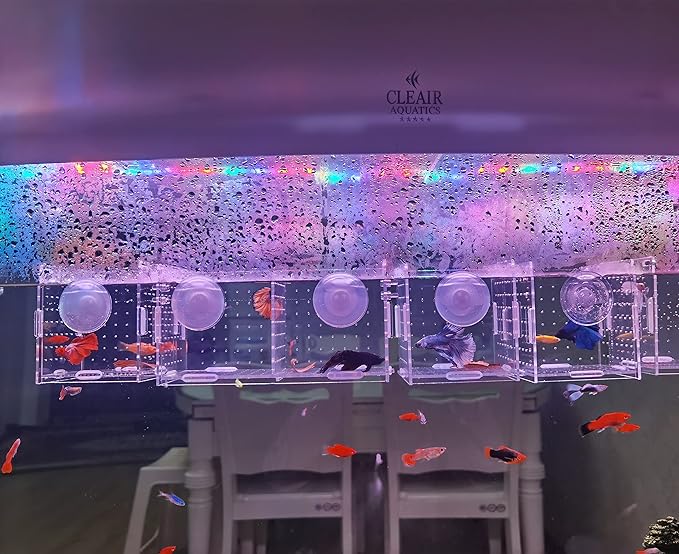 AWXZOM Acrylic Fish breeding Box, Acrylic Fish Isolation Box, Fish Separator for Aquarium, Hatchery Incubator with Suction Cups for Small Baby Fishes Shrimp Clownfish Guppy (3.9 * 3.9 * 3.9inch)