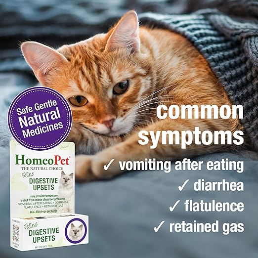 HomeoPet Feline Digestive Upsets, Safe and Natural Cat Digestive Support, 15 Milliliters