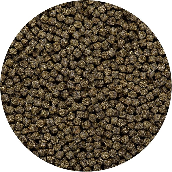 Hikari Sinking Goldfish Excel Fish Food, 3.8 oz. (110g)
