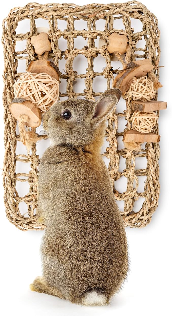 andwe Seagrass Protector Mat with Toys for Rabbit Bunny Chinchilla Guinea Pigs or Other Rodent Pets (11 X 7.87-inch)