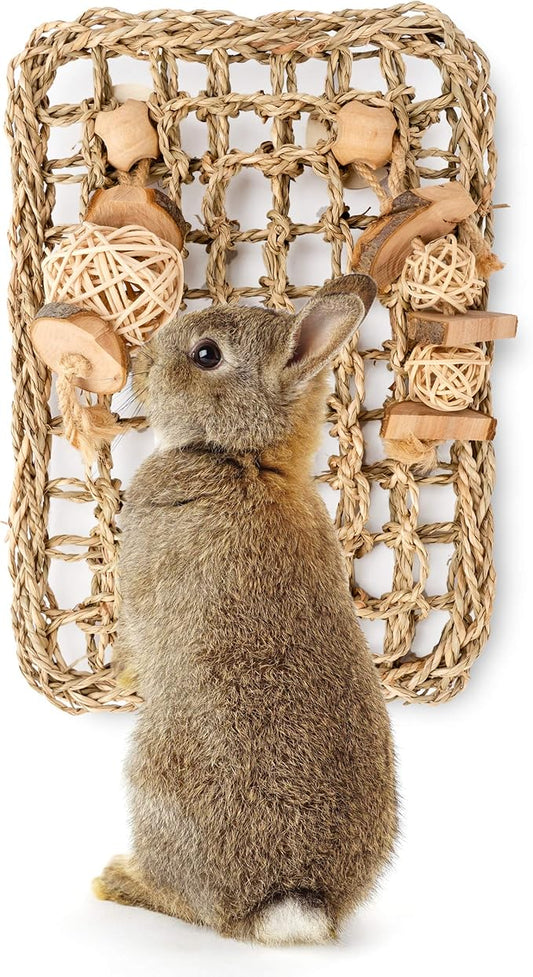 andwe Seagrass Protector Mat with Toys for Rabbit Bunny Chinchilla Guinea Pigs or Other Rodent Pets (11 X 7.87-inch)