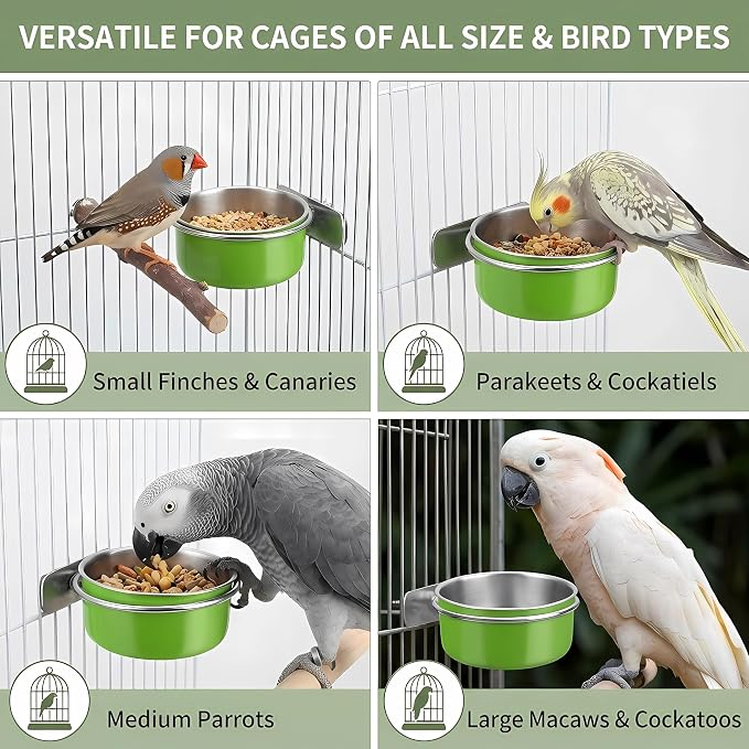 Bird Cage Bowls for Parakeets (2 Pack) - Stainless Steel Food & Water Feeder Cups with Clamp Holder, Hanging Feeder for Budgies, Canary, Conures, Lovebirds, Squirrel & Small Animals