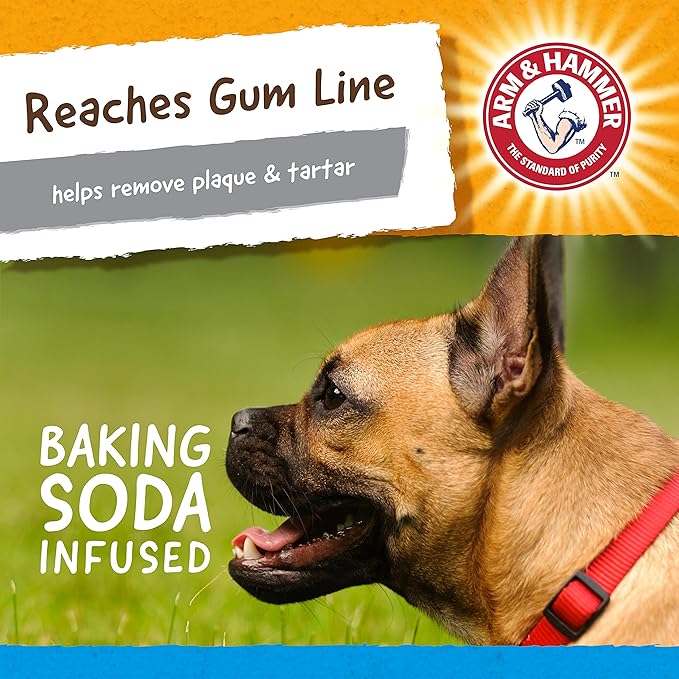 Arm & Hammer Nubbies Gator Dental Chew Toy for Dogs, Mint Flavor, Baking Soda Infused, Scrubbing Grooves to Reduce Plaque and Tartar, No Stuffing, for Moderate Chewers
