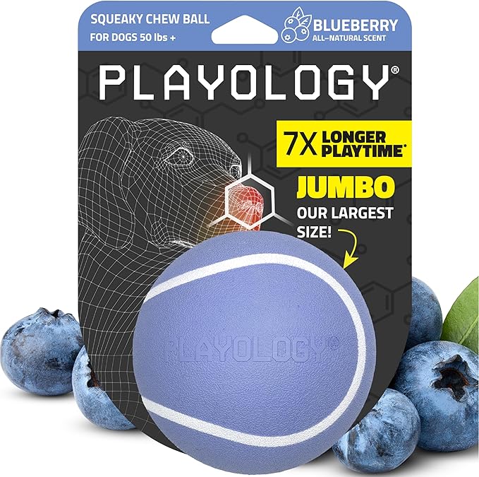 Playology Dog Toys | Squeaky Chew Ball for Large Dogs | Blueberry Scented Jumbo Dog Ball | Bouncy Floating Chew Toys for Fetch