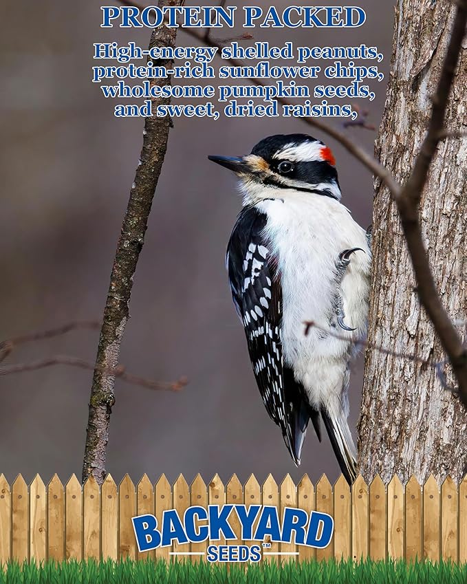 Backyard Seeds Woodpecker No-Waste Bird Seed Mix 20lbs - Premium Shelled Peanuts & Sunflower Chips, Medium Bag of Wild Bird Food