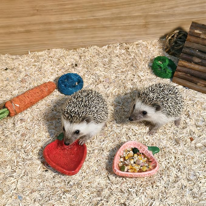 2PCS Hamster Bowl, Hamster Food Dish Ceramic Food Water Feeding Bowl Small Animal Bowls for Gerbil Rat Mice Hedgehog (Strawberry)