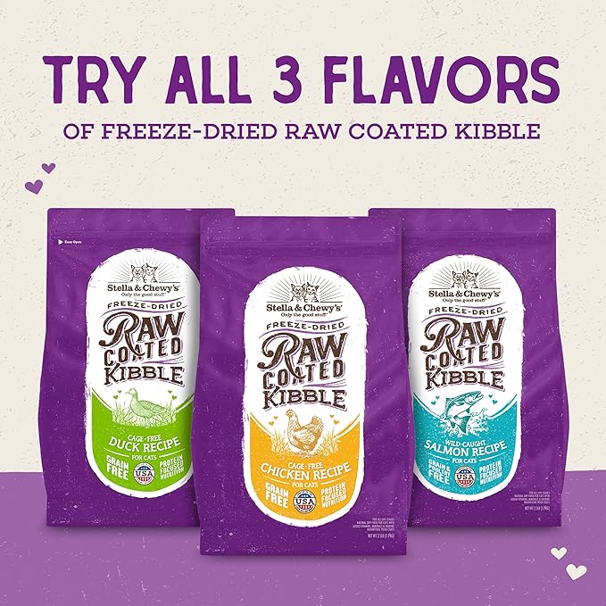 Stella & Chewy's Raw Coated Cat Food - High Protein, Grain-Free Kibble with Wild-Caught Salmon - Premium Digestive Support with Probiotics - Natural Small Kibble - Perfect For Picky Eater - 2.5lb Bag