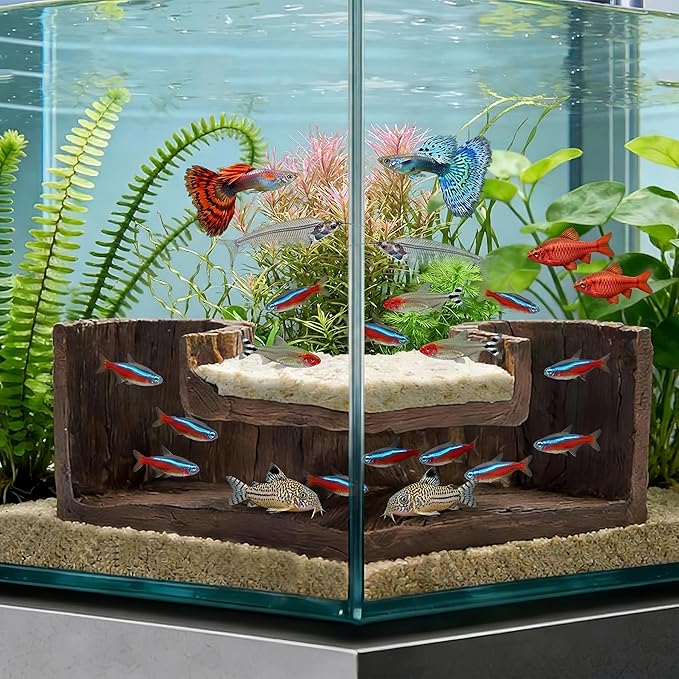Fish Tank Decorations Aquarium Cave, Aquarium Decor Fish Hideout for Cory Catfish Betta Pleco Shrimp, Fish Tank Accessories & Betta Fish Tank Accessories, Natural Fish Tank Decor for Aquascape
