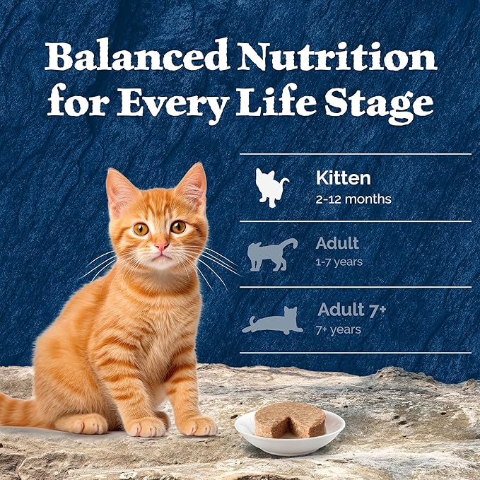 Blue Buffalo Wilderness Natural High Protein Grain Free Wet Food for Kittens,Salmon Pate,3-oz,(Pack of 48)