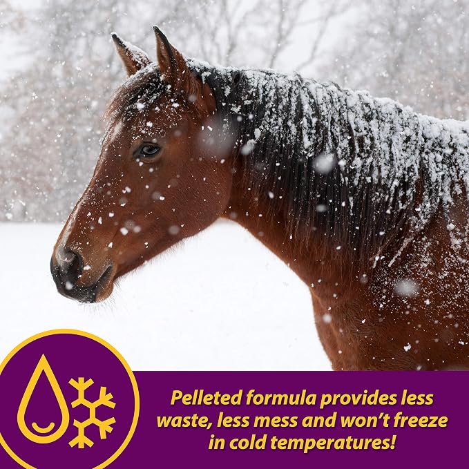 Farnam Horse Health Red Cell Pellets, Vitamin-Iron Mineral Supplement for Horses, Iron Horse Supplement, 4 Lbs., 64-Day Supply, Pellets